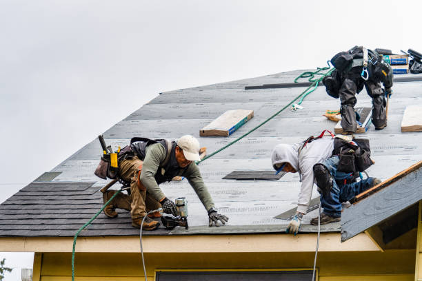 Professional Flat Roof Repair technician working in Lexington, WA